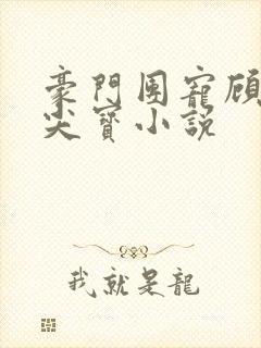 豪门团宠顾少心尖宝小说封面