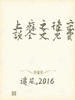 上瘾之后宋瓷小说全文免费阅读