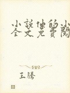 小说他的小仙女全文免费阅读