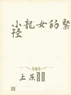 小龙女的紧致花径封面