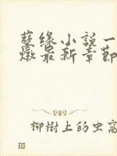 孽缘小说一家乱炖最新章节阅读