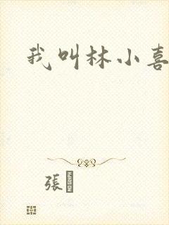 我叫林小喜