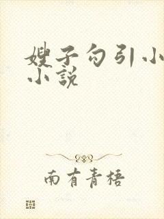 嫂子勾引小叔子小说封面