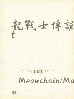 龙战士传说txt