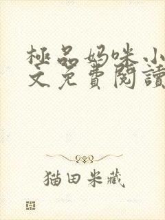 极品妈咪小说全文免费阅读