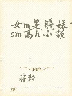 女m是贱婊重口sm高h小说