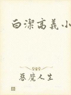 白洁高义小说