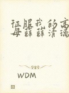 征服我的高官美母薛薛清璃大结局封面