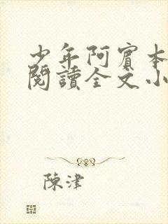 少年阿宾本全文阅读全文小说