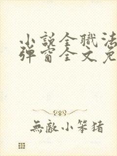 小说全职法师无弹窗全文免费阅读