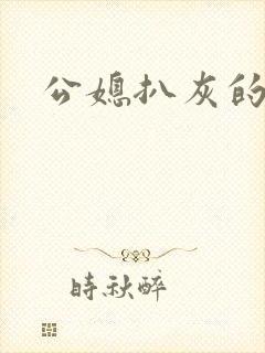 公媳扒灰的小说封面