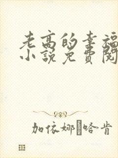 老高的幸福生活小说免费阅读