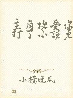 主角攻受你们别打了小说免费阅读