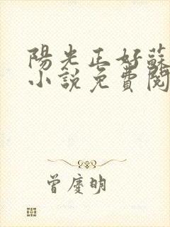 阳光正好苏玥玥小说免费阅读封面