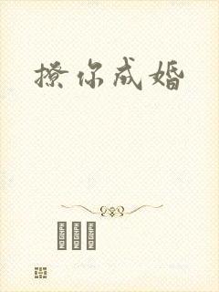撩你成婚封面