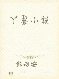 丫鬟小说封面