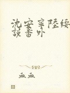 沈安宁陆绥安小说番外