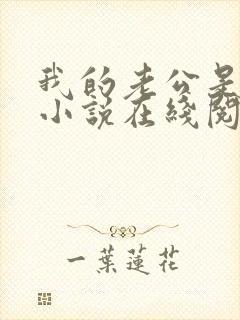 我的老公是只狗小说在线阅读全文下载