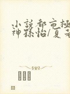 小说都市极品医神孙怡/夏若雪电子书