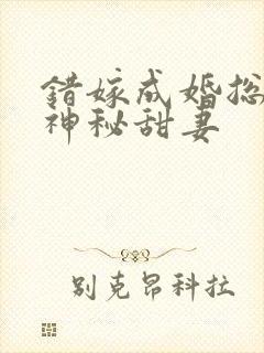 错嫁成婚总裁的神秘甜妻封面
