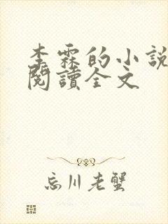 李霖的小说免费阅读全文