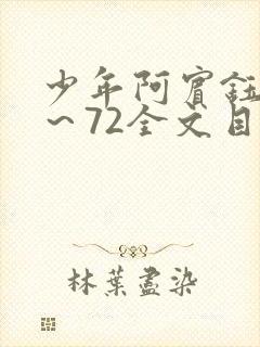 少年阿宾钰慧1～72全文目录免费阅读