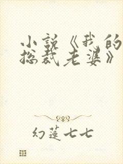 小说《我的美女总裁老婆》