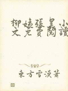 柳姨张昊小说全文免费阅读