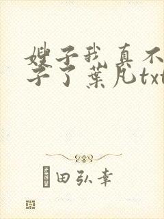 嫂子我真不是傻子了叶凡txt下载