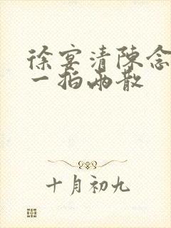徐宴清陈念小说一拍两散