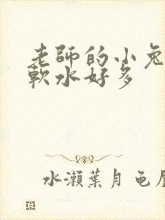 老师的小兔子好软水好多