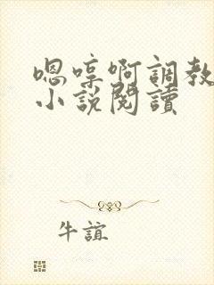 嗯哼啊调教母狗小说阅读封面
