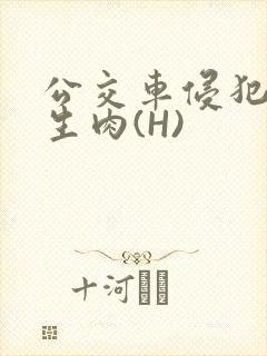 公交车侵犯小男生肉(H)