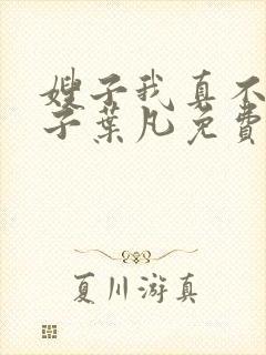 嫂子我真不是傻子叶凡免费下载封面