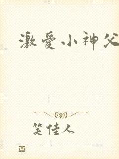 激爱小神父