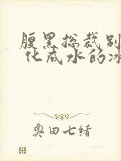 腹黑总裁别乱来 化成水的冰封面