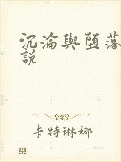 沉沦与堕落的小说