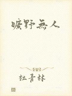 旷野无人封面