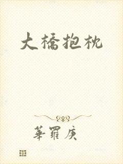 大桥抱枕