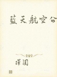 蓝天航空公司封面