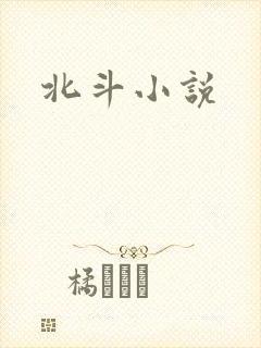 北斗小说