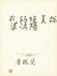 我的绝美总裁老婆洪阳封面
