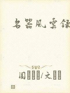 名器风云录封面