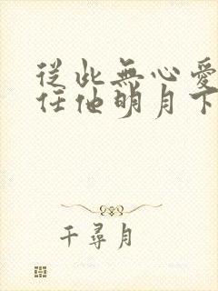 从此无心爱良夜任他明月下西楼封面