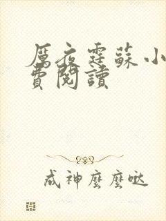 厉夜霆苏小汐免费阅读封面