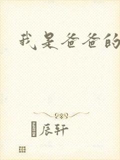 我是爸爸的玩具封面