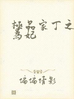 极品家丁之册母为妃