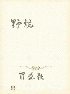 野炕