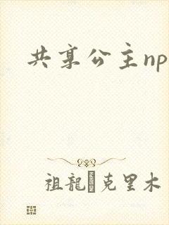 共享公主npc