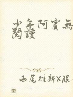 少年阿宾无删减阅读